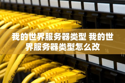 我的世界服务器类型 我的世界服务器类型怎么改