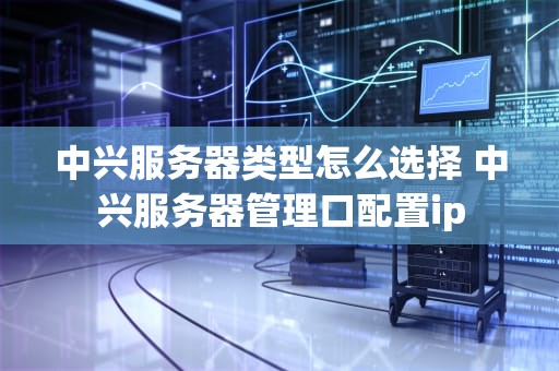 中兴服务器类型怎么选择 中兴服务器管理口配置ip
