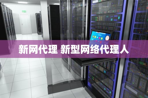 新网代理 新型网络代理人