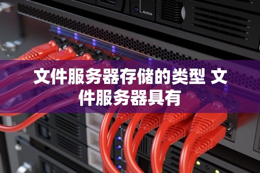 文件服务器存储的类型 文件服务器具有