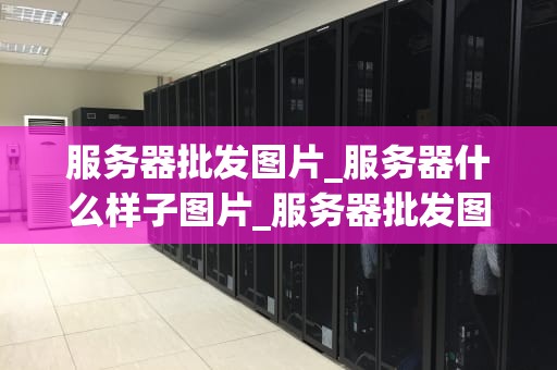 服务器批发图片_服务器什么样子图片_服务器批发图片的全面解析