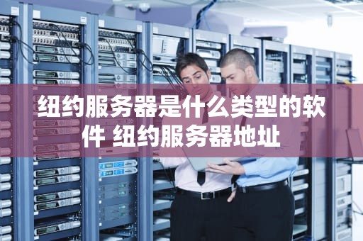 纽约服务器是什么类型的软件 纽约服务器地址