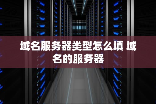 域名服务器类型怎么填 域名的服务器