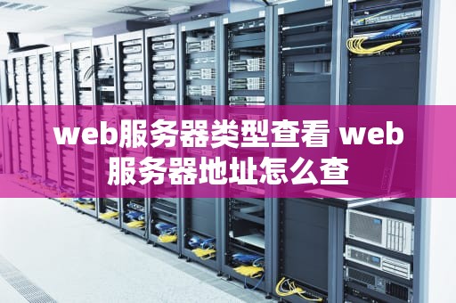 web服务器类型查看 web服务器地址怎么查
