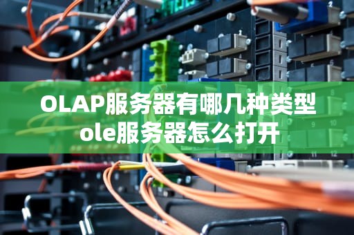 OLAP服务器有哪几种类型 ole服务器怎么打开