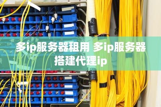 多ip服务器租用 多ip服务器搭建代理ip