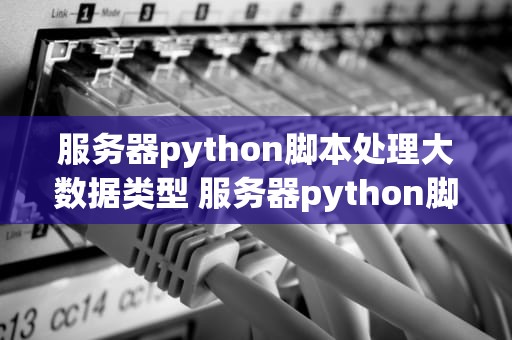 服务器python脚本处理大数据类型 服务器python脚本处理大数据类型有哪些