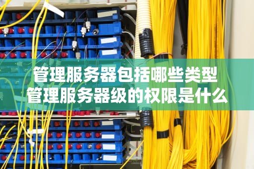 管理服务器包括哪些类型 管理服务器级的权限是什么的责任