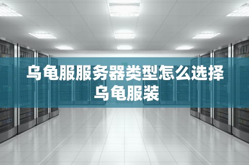 乌龟服服务器类型怎么选择 乌龟服装