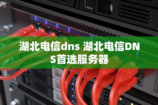 湖北电信dns 湖北电信DNS首选服务器