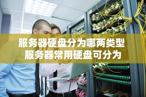 服务器硬盘分为哪两类型 服务器常用硬盘可分为