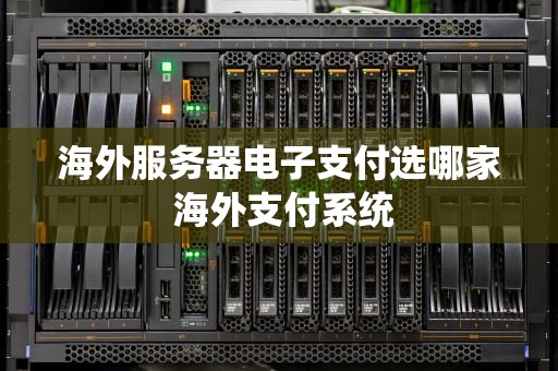 海外服务器电子支付选哪家 海外支付系统