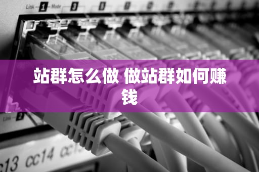 站群怎么做 做站群如何赚钱