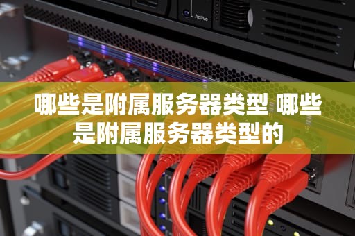 哪些是附属服务器类型 哪些是附属服务器类型的