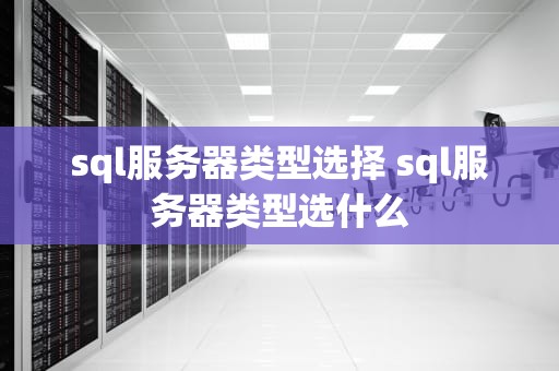 sql服务器类型选择 sql服务器类型选什么