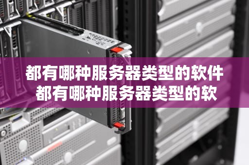 都有哪种服务器类型的软件 都有哪种服务器类型的软件好