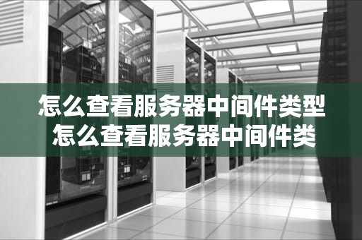 怎么查看服务器中间件类型 怎么查看服务器中间件类型是否正常