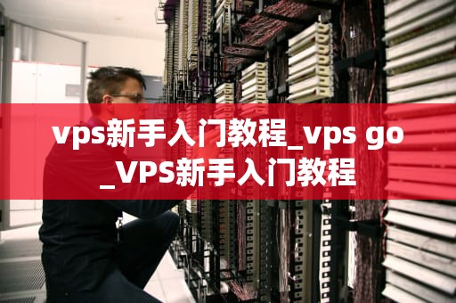 vps新手入门教程_vps go_VPS新手入门教程