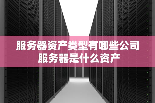 服务器资产类型有哪些公司 服务器是什么资产