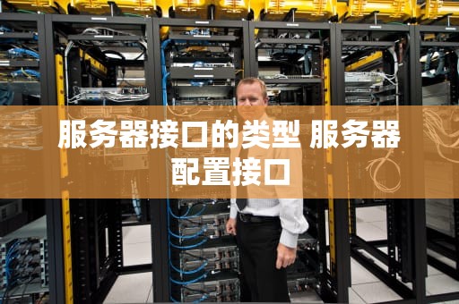 服务器接口的类型 服务器配置接口