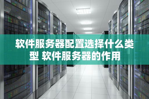 软件服务器配置选择什么类型 软件服务器的作用