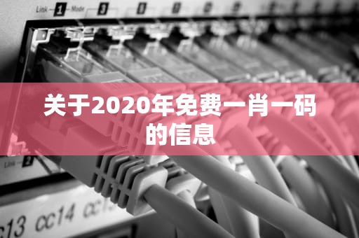关于2020年免费一肖一码的信息