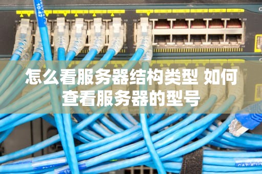 怎么看服务器结构类型 如何查看服务器的型号