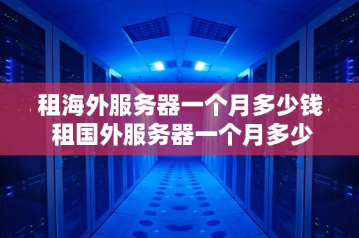 租海外服务器一个月多少钱 租国外服务器一个月多少钱