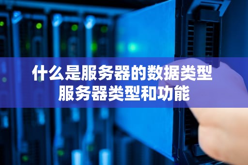 什么是服务器的数据类型 服务器类型和功能