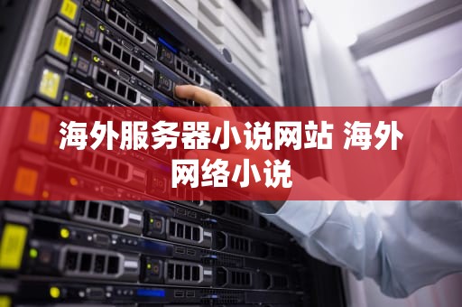 海外服务器小说网站 海外网络小说