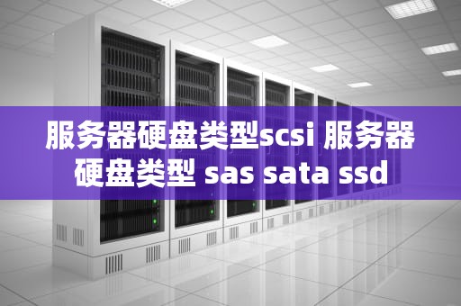 服务器硬盘类型scsi 服务器硬盘类型 sas sata ssd