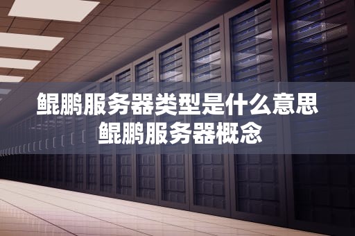 鲲鹏服务器类型是什么意思 鲲鹏服务器概念