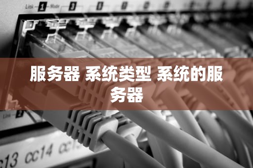 服务器 系统类型 系统的服务器