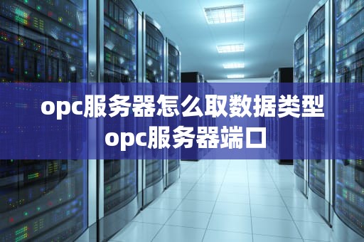 opc服务器怎么取数据类型 opc服务器端口