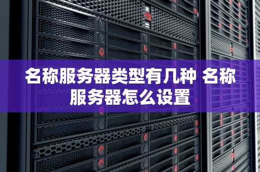 名称服务器类型有几种 名称服务器怎么设置