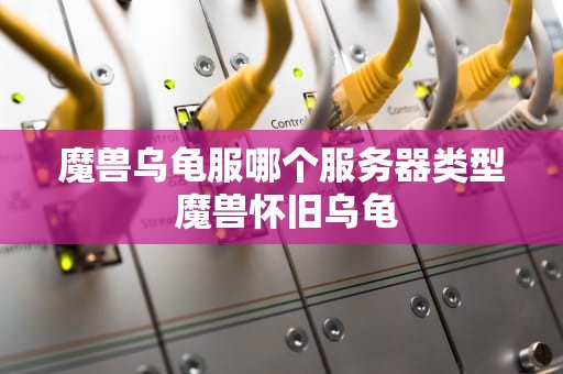 魔兽乌龟服哪个服务器类型 魔兽怀旧乌龟