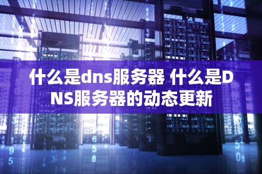 什么是dns服务器 什么是DNS服务器的动态更新
