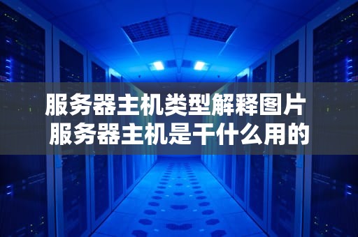 服务器主机类型解释图片 服务器主机是干什么用的