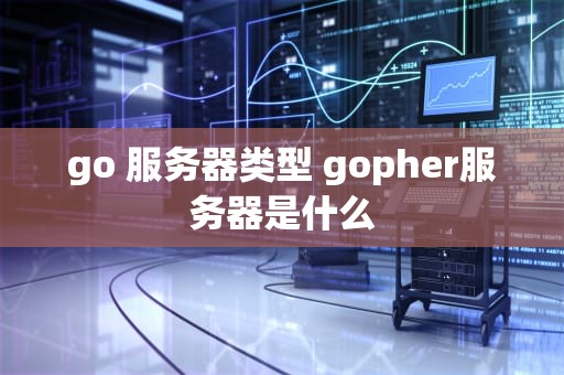 go 服务器类型 gopher服务器是什么