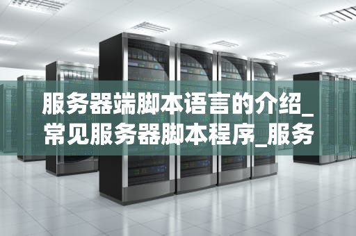 服务器端脚本语言的介绍_常见服务器脚本程序_服务器端脚本语言的全面解析