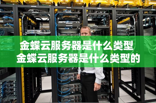 金蝶云服务器是什么类型 金蝶云服务器是什么类型的软件