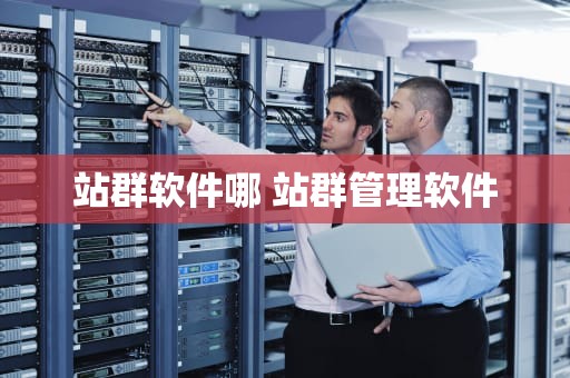 站群软件哪 站群管理软件