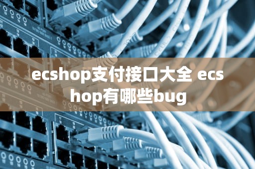 ecshop支付接口大全 ecshop有哪些bug