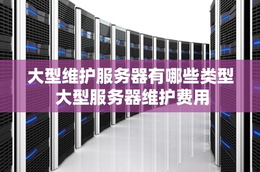 大型维护服务器有哪些类型 大型服务器维护费用