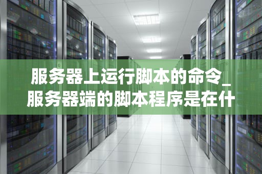 服务器上运行脚本的命令_服务器端的脚本程序是在什么上执行_服务器上运行脚本的命令