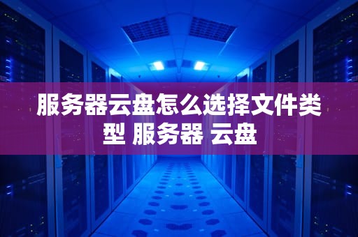 服务器云盘怎么选择文件类型 服务器 云盘