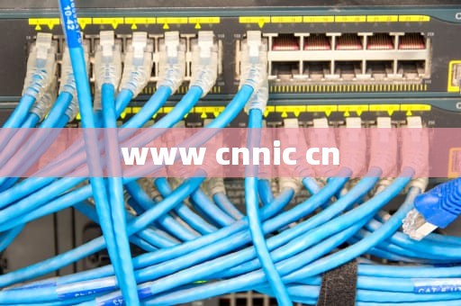 www cnnic cn