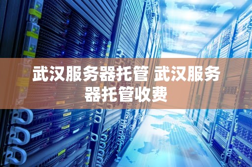 武汉服务器托管 武汉服务器托管收费