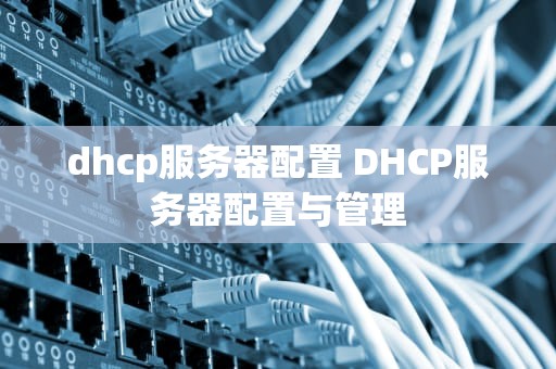 dhcp服务器配置 DHCP服务器配置与管理