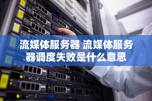 流媒体服务器 流媒体服务器调度失败是什么意思